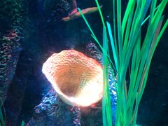 -沈阳海洋探索中心