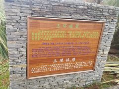 -贵阳市花溪国家城市湿地公园