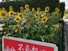 -五通灯塔公园