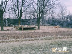 -北京野生动物园
