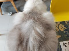 -平行世界·猫咖(首经贸店)