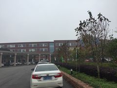 -中加枫华国际学校