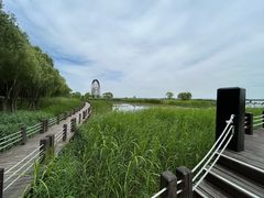 -苏州太湖湖滨国家湿地公园