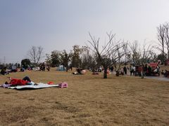 -两河城市森林公园