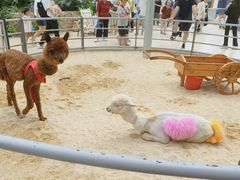 -洛阳龙门海洋馆