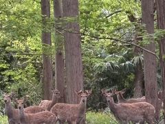 -上海怡沁园度假酒店
