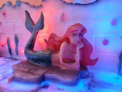 -白鹿仓冰雪海洋世界