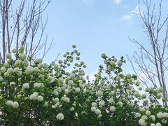 -大龙山(地铁站)