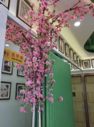 -艺米阳光Hair Salon