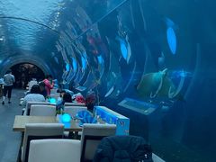 -海棠湾洲际-涛·海底餐厅·美人鱼·自助餐·海底隧道