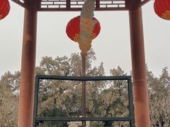 -关林
