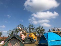 -季高兔窝窝亲子园(上海薰衣草公园店)