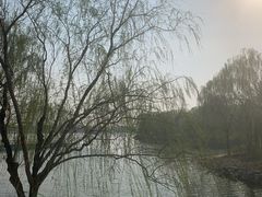 -大兴滨河森林公园