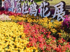 -广州市白云山风景名胜区