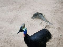 -西霞口神雕山野生动物世界