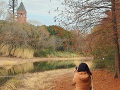 -贡湖湾湿地公园