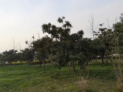 -洨河生态公园