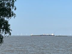 -上海吴淞炮台湾国家湿地公园