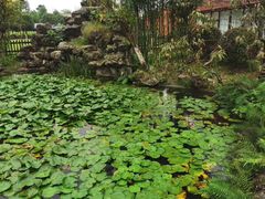 -洪湖家庭农场·团建·露营·会议