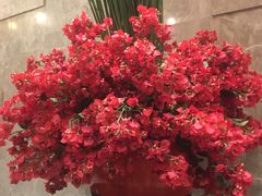 -同庆楼(滨湖万达广场店)