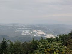 -铁山坪森林公园