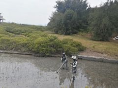 -北海金海湾红树林生态旅游区