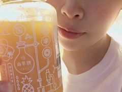 -野萃山·潮汕厚果汁(十亩地店)