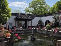 -上海醉白池公园