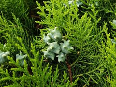 -武清南湖绿博园