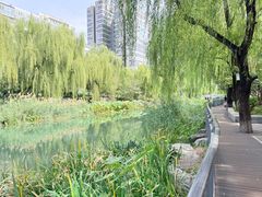 -南长河公园