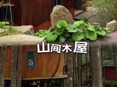 -洛阳白云山景区