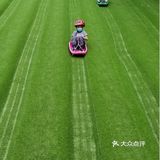 娃的森林滑草体验