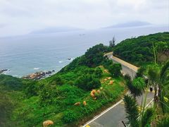 -格力东澳大酒店-蓝色海岸餐厅