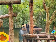 -上海野生动物园