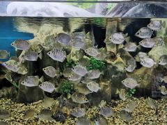 -石林冰雪海洋世界