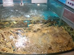 -徐记海鲜(阿波罗店)