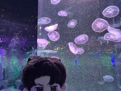 -太奥幻太奇海洋馆