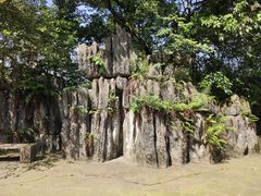 -南山植物园