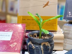 -钟书阁(珍园店)