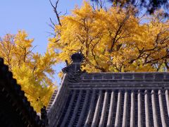 -晋祠公园