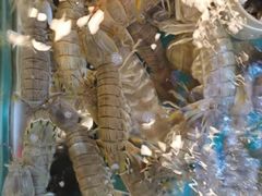 -阿马蛋汤·宁波小海鲜(总店)