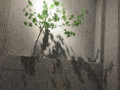 -古乡居甜品(大信店)