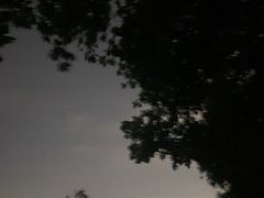 -佛山华盖山公园