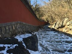 -阳台山自然风景区