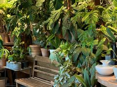 -自由生长植物工作室(深港花卉中心店)