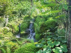 -Chom Cafe and Restaurant