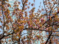 -西北湖绿化广场