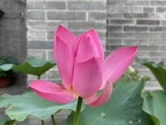 -万寿八仙宫