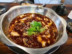红汤鱼火锅-川渔居—鱼火锅(八方汇店)