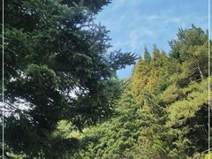 -井冈山革命烈士陵园